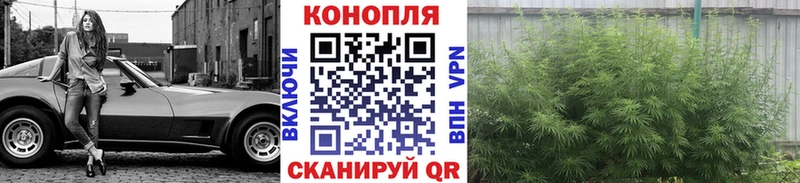 Бошки Шишки ГИДРОПОН  Бодайбо 